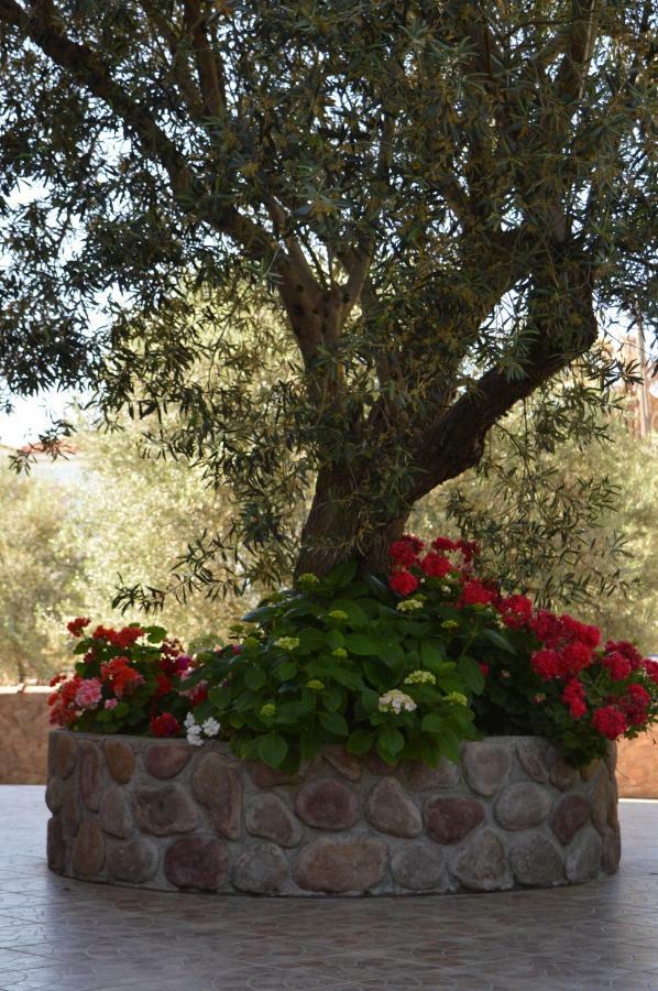 Anaxos Gardens Aparthotel Екстериор снимка